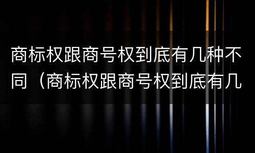 商标权跟商号权到底有几种不同（商标权跟商号权到底有几种不同之处）