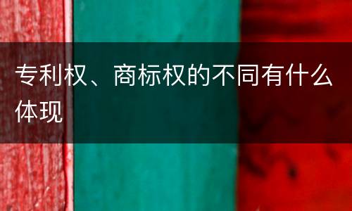 专利权、商标权的不同有什么体现