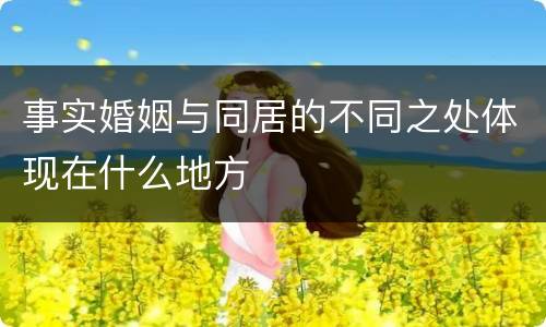 事实婚姻与同居的不同之处体现在什么地方