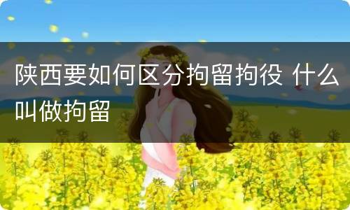 陕西要如何区分拘留拘役 什么叫做拘留