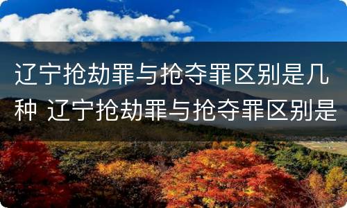 辽宁抢劫罪与抢夺罪区别是几种 辽宁抢劫罪与抢夺罪区别是几种情况