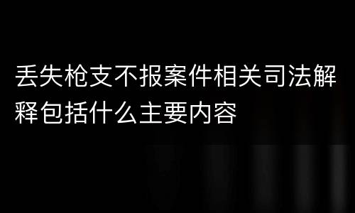 丢失枪支不报案件相关司法解释包括什么主要内容