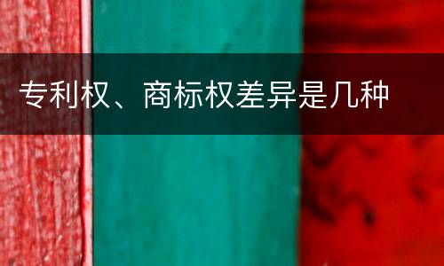 专利权、商标权差异是几种