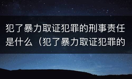 犯了暴力取证犯罪的刑事责任是什么（犯了暴力取证犯罪的刑事责任是什么意思）