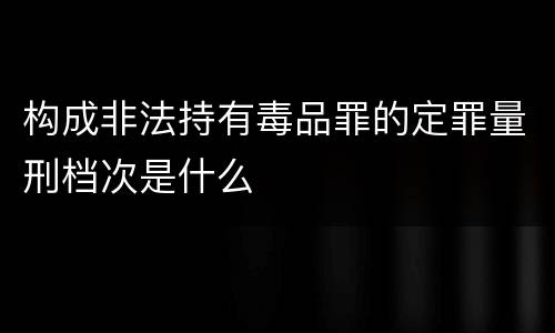 构成非法持有毒品罪的定罪量刑档次是什么