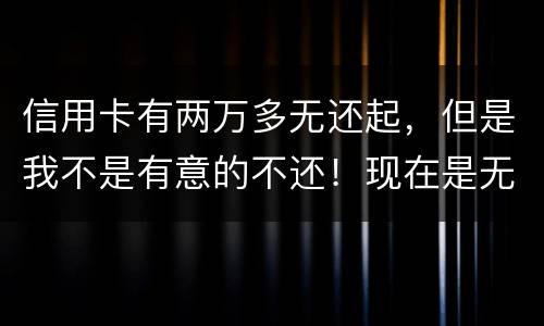 信用卡有两万多无还起，但是我不是有意的不还！现在是无钱还，银行会要怎样样