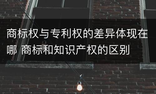 商标权与专利权的差异体现在哪 商标和知识产权的区别