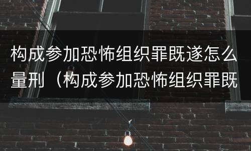 构成参加恐怖组织罪既遂怎么量刑（构成参加恐怖组织罪既遂怎么量刑的）