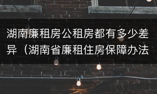 湖南廉租房公租房都有多少差异（湖南省廉租住房保障办法）