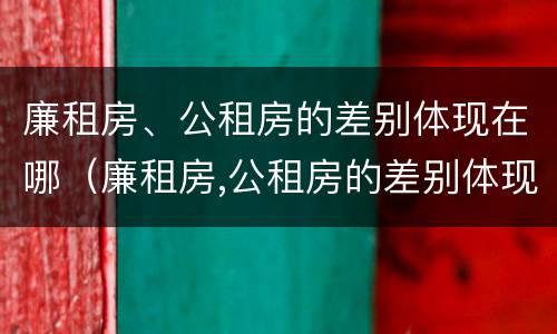 廉租房、公租房的差别体现在哪（廉租房,公租房的差别体现在哪里）