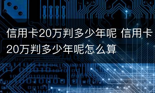 信用卡20万判多少年呢 信用卡20万判多少年呢怎么算