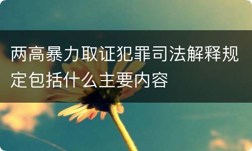 两高暴力取证犯罪司法解释规定包括什么主要内容