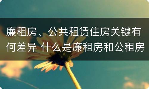 廉租房、公共租赁住房关键有何差异 什么是廉租房和公租房两个有什么特点