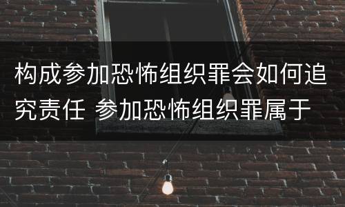 构成参加恐怖组织罪会如何追究责任 参加恐怖组织罪属于