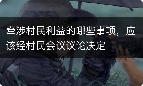 牵涉村民利益的哪些事项，应该经村民会议议论决定