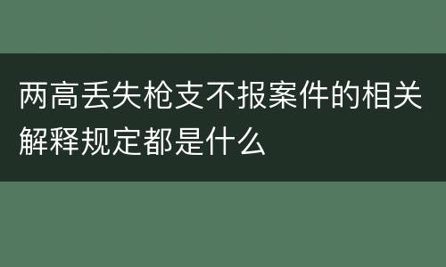 两高丢失枪支不报案件的相关解释规定都是什么