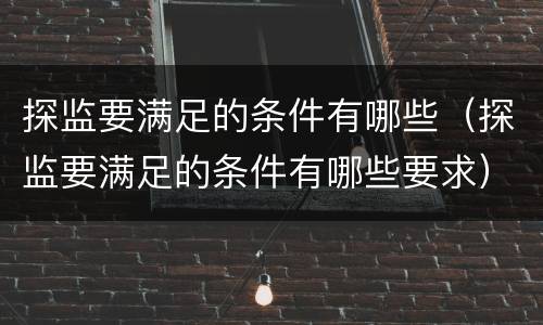 探监要满足的条件有哪些（探监要满足的条件有哪些要求）