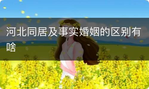 河北同居及事实婚姻的区别有啥