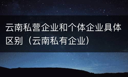 云南私营企业和个体企业具体区别（云南私有企业）