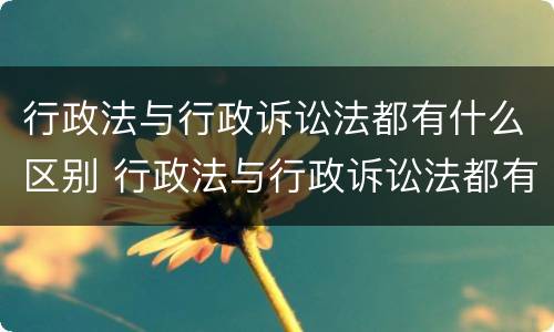 行政法与行政诉讼法都有什么区别 行政法与行政诉讼法都有什么区别呢