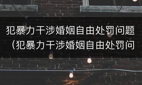 犯暴力干涉婚姻自由处罚问题（犯暴力干涉婚姻自由处罚问题有哪些）