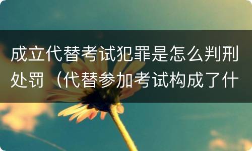 成立代替考试犯罪是怎么判刑处罚（代替参加考试构成了什么犯罪）