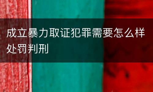 成立暴力取证犯罪需要怎么样处罚判刑