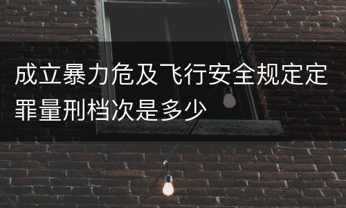 成立暴力危及飞行安全规定定罪量刑档次是多少