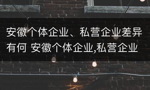安徽个体企业、私营企业差异有何 安徽个体企业,私营企业差异有何区别
