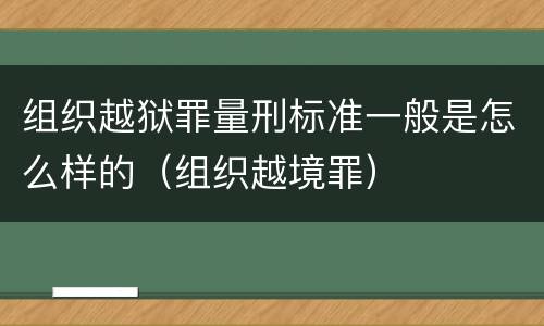 组织越狱罪量刑标准一般是怎么样的（组织越境罪）