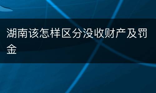 湖南该怎样区分没收财产及罚金