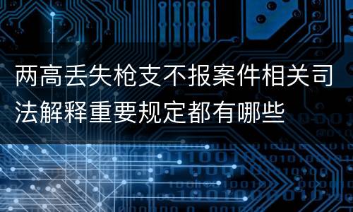 两高丢失枪支不报案件相关司法解释重要规定都有哪些