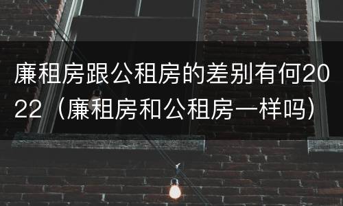 廉租房跟公租房的差别有何2022（廉租房和公租房一样吗）