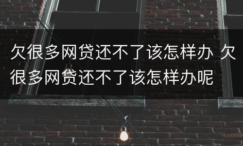 欠很多网贷还不了该怎样办 欠很多网贷还不了该怎样办呢