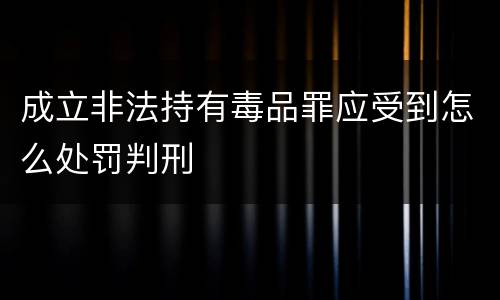 成立非法持有毒品罪应受到怎么处罚判刑