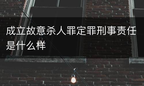 成立故意杀人罪定罪刑事责任是什么样