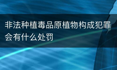 非法种植毒品原植物构成犯罪会有什么处罚