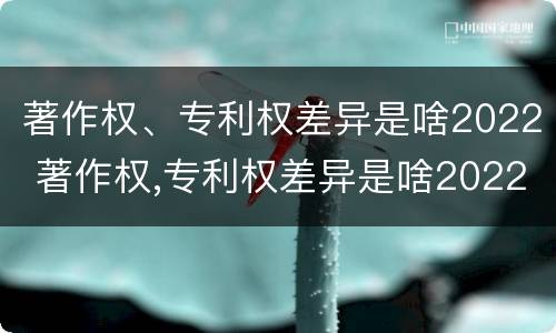 著作权、专利权差异是啥2022 著作权,专利权差异是啥2022年的