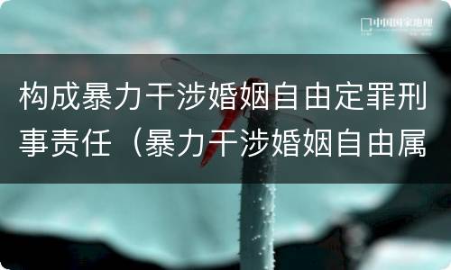 构成暴力干涉婚姻自由定罪刑事责任（暴力干涉婚姻自由属于犯罪吗）