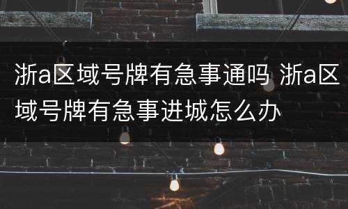 浙a区域号牌有急事通吗 浙a区域号牌有急事进城怎么办