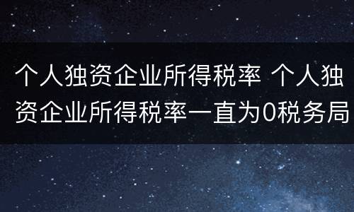 个人独资企业所得税率 个人独资企业所得税率一直为0税务局会不会来查你