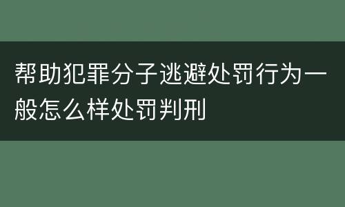 帮助犯罪分子逃避处罚行为一般怎么样处罚判刑