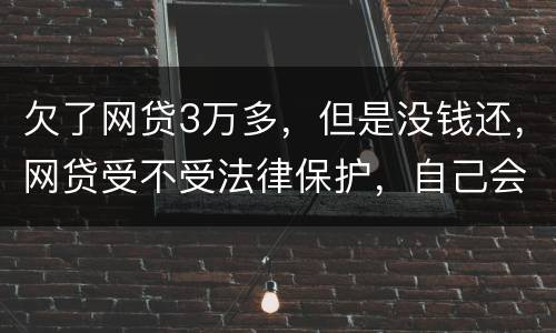 欠了网贷3万多，但是没钱还，网贷受不受法律保护，自己会承担什么责任