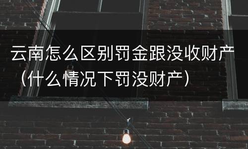 云南怎么区别罚金跟没收财产（什么情况下罚没财产）