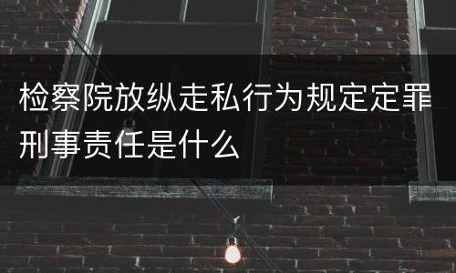 检察院放纵走私行为规定定罪刑事责任是什么