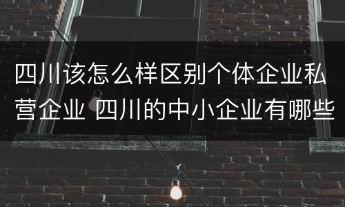 四川该怎么样区别个体企业私营企业 四川的中小企业有哪些