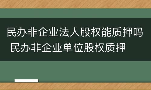 民办非企业法人股权能质押吗 民办非企业单位股权质押