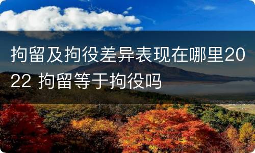 拘留及拘役差异表现在哪里2022 拘留等于拘役吗