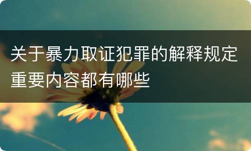 关于暴力取证犯罪的解释规定重要内容都有哪些