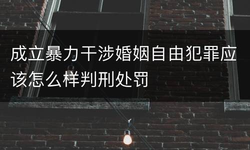 成立暴力干涉婚姻自由犯罪应该怎么样判刑处罚